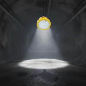 100W IP66 Warehouse Explosion Proof High Bay Lighting LED Explosion-proof Lights