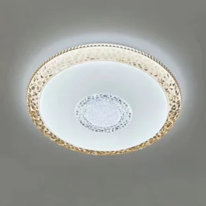 12W 18W 24W 36W Round Surface White Ceiling LED Lamp Remote Dimmable 3000 6000K Indoor LED Ceiling Light