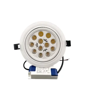 24W Commercial LED Downlights Modern Adjustable Surface Ceiling Recessed LED Down Lights
