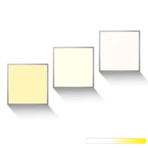 595*595MM 6060 High Quality 60W 2.4G 3000-6000K Ultra-bright LED Panel Light Office Commercial LED Flat Dimmable Panel