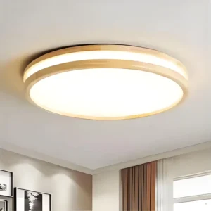 Adjustable 3 CCT 3000K Indoor Ceiling Light with Side Emitting LED Modern Design for Bedroom Living Room Iron Base