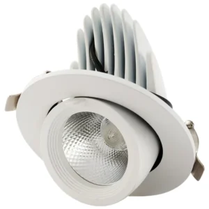 Adjustable Angle Recessed Eyeball 3000K 4000K 6000K 5 7 10 12 15 18 20 24 30 40W LED COB Downlight Ceiling Spots Bulls Eye Light