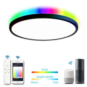 Alexa Google Home APP Control Ultra Thin Flush Mount 12 Inch 24W Dimmable Smart RGB LED Ceiling Light