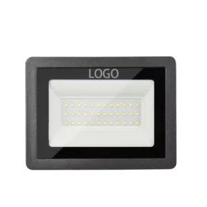 Aluminum Lamp Body IP66 Waterproof Outdoor 30W LED Flood Light With SMD Chip