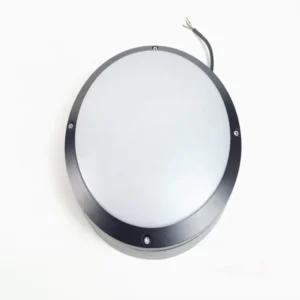 Ceiling Light for Home Project for Indoor Outdoor Cri80 IP54 24W Mount Ceiling Led Ceiling Light Hotel Alu Acrylic Lights