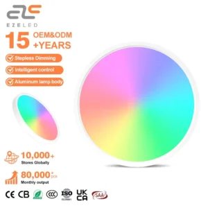 China Price Dimmable Round Decoration Indoor Surface Mounted Led Ceiling Lights