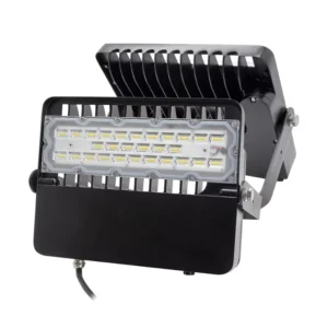 Custom Laser Logo Outdoor Flood Light 100W with Asymmetrical Lens 120*90°