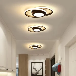 Decorative Modern Ceiling LED Light for Home Bedroom Living Room Round Surface Mounted Indoor Ceiling