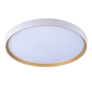 Dingdian Contemporary Indoor LED Ceiling Lights AC110 240V Surface Mount Panel Modern Lighting Fixtures