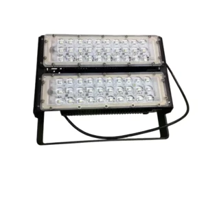 High Brightness IP66 Outdoor Remote Control Flood Lights Multi Colour 100W RGB Aluminum LED Floodlight Garden Light