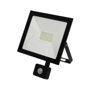 High Lumen 50000 Hours Floodlight Outdoor Waterproof LED Lamp