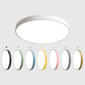 High Quality Modern Round Ceiling Lamp Remote Control Black White Smart Home Indoor Living Room Decoration Led Ceiling Light
