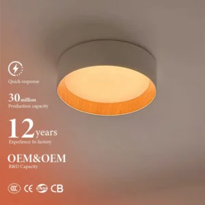 Hot Sell Indoor Lighting Living Room Hotel Restaurant Lustre Kitchen Aluminum Led Ceiling Lights