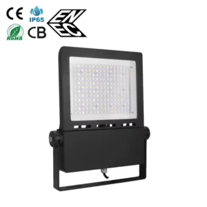 Hot Selling High Output Electric Waterproof Outdoor 30 50 80 100 120 150 200 250 300 Watt IP65 Led Flood Light