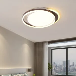 Hot Selling Supplier Surface Mounted Led Ceiling Lamp Indoor Round Ceiling Lighting