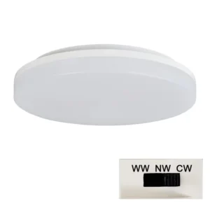 IP54 Ceiling Led Lights CCT Change Dimmable Bedroom Living Room Led Ceiling Lamp Indoor Lighting