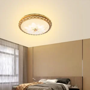 Indoor Bedroom Living Room Modern Ceiling Light Surface Mounted LED Ceiling Lamps