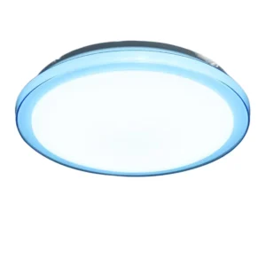 Indoor Lighting Simple Ceiling Lamp Modern Ultra Thin Dial Round LED Ceiling Lights Mounted Bedroom Living Room