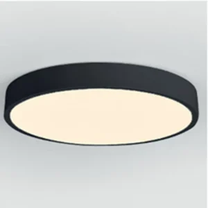 Indoor Living Room Modern Acrylic Round 21W 36W 48W 54W LED Ceiling Lamp