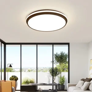 Indoor Round Shape Modern Design Smart Home Decoration 24+20W LED Intelligent Ceiling Light