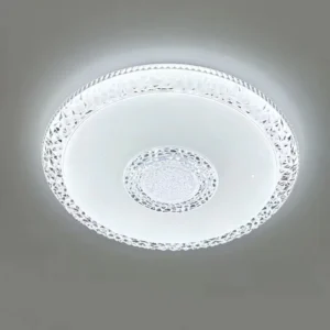 Indoor Surface Flush Mount Modern Acrylic Living Room Lamp Fixture LED Ceiling Lights