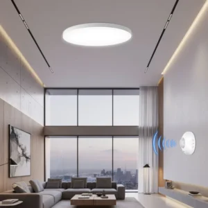 Infrared Ceiling Mount Motion Sensor Light Switch Detector for Staircase, Corridor and Pathway with AC100-240V Input