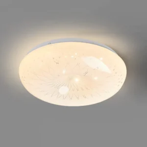 Iron and PVC LED Ceiling Light with Remote Control Minimalist Design for Bedroom Use Surface Mounted Indoor Lighting