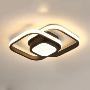 LED Ceiling Lamp Indoor Ceiling Lighting for Corridor Balcony Black White 20W 22W 32W 36W for Bedroom Living Room 110 220V CE AC