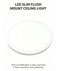LED Slim Flush Mount Ceiling Light for Home Bedroom Living Room
