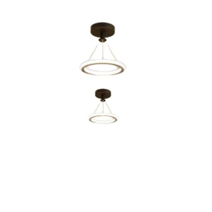 Modern 19W LED Ceiling Light Simple Indoor Wrought Iron Panels Home Office Living Room Decor Ceiling Lamp