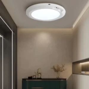 Modern 3W LED Rechargeable Sensing Ceiling Light for Living Room Indoor Lighting with Remote Control