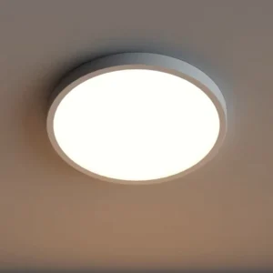 Modern 5/7/9/12/16 Inch Flush Mount Round Led Ceiling Light Fixture for Living Room