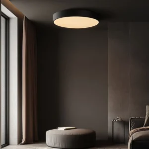Modern Black White LED Ceiling Light Indoor for Living Room