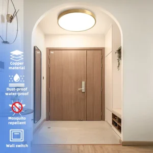 Modern Decor 8″ 12″ 16″ Flat Acrylic LED Ceiling Light Chandelier Bedroom Dining Studio Flush Metal Base IP66 3000K 6000K
