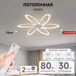 Modern Design Ceiling Lamp Indoor Surface Mounted Remote Control 54W LED Ceiling Light for Living Room Bedroom