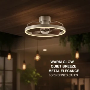 Modern European 5 Blades (>48″) LED Ceiling Light Remote Control 220V Metal DC Motor 6 Speed Dimmable