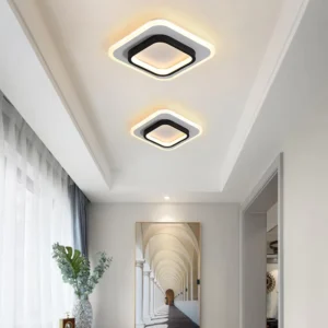 Modern Hotel Interior LED Light Surface Mounted Ceiling Lighting Fixture Indoor Living Room Staircase Ceiling Light