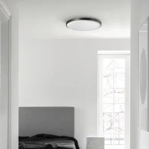 Modern Indoor D270mm D380mm LED Ceiling Lights Ultrathin Round Design with Remote Control for Bedrooms Kitchen 220V Plastic Base