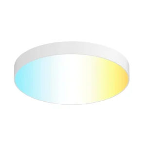 Modern Indoor Surface Mount LED Ceiling Light Decorative Fixture