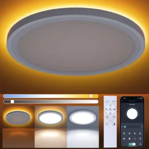 Modern Indoor Surface Mount Round LED Ceiling Lights Rated 33W Living Room Bedroom Home Office Decorative Lighting