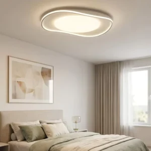 Modern Iron LED Ceiling Lights Surface Mounted LED Ceiling Light Indoor Ceiling Lamps Ceiling Light Modern for Living Room Home