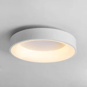 Modern Led Ceiling Light for Living Room Bedroom Indoor Foyer Round Kitchen Ceiling Lamp