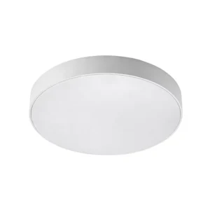 Modern Round LED Ceiling Light for Living Room Indoor 18W Decoration