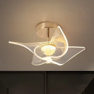 Modern Simple Indoor LED Ceiling Lamp for Hotel Surface Mounted Light