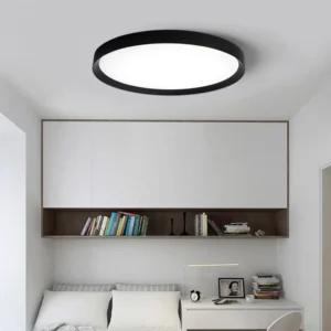 Modern Surface Mounted LED Indoor Ceiling Light for Bedroom 40cm 60cm 230V Simple LED Ceiling Lamps