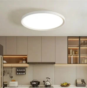 Modern Ultra Thin Bedroom AC Powered Chandelier Light Surface Mounted LED Ceiling Lights
