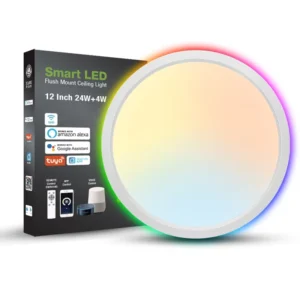 Modern WiFi Smart Ceiling Lamps Indoor RGBCW Color Adjustable 24W 32Watt Tuya LED Ceiling Lights