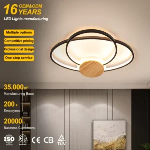 More Durable Ceiling Lamp Modern Fancy Light Indoor Decoration Bedroom Living Room Led Smart Home Ceiling Light