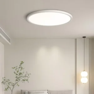 Nordic Style LED Ceiling Lamp Luxury Slim Smart LED Ceiling Light for Living Room Bedroom AC Power Source for Home and House