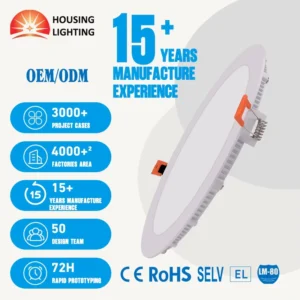 OEM ODM Recessed Ceiling LED Panel Light 300mm 24V 5 Years Warranty for EU Renovation Apartment